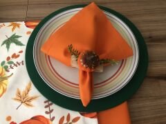 SOFRA SUNUM TAM  SET BALKABAĞI  DESENLİ