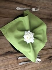 ELMA YEŞİLİ KUMAŞ PEÇETE (6 ADET ) (40X40 CM)