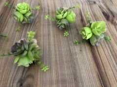 SUKULENT ÇİÇEĞİ PEÇETE HALKASI MODEL 1 (6 ADET)