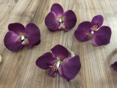 MÜRDÜM ORKİDE PEÇETE HALKASI (6 ADET)