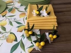 SOFRA SUNUM SETİ LİMON DESENLİ TAKIM