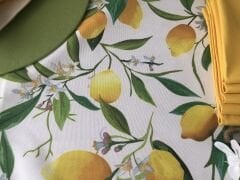 SOFRA SUNUM SETİ LİMON DESENLİ TAKIM